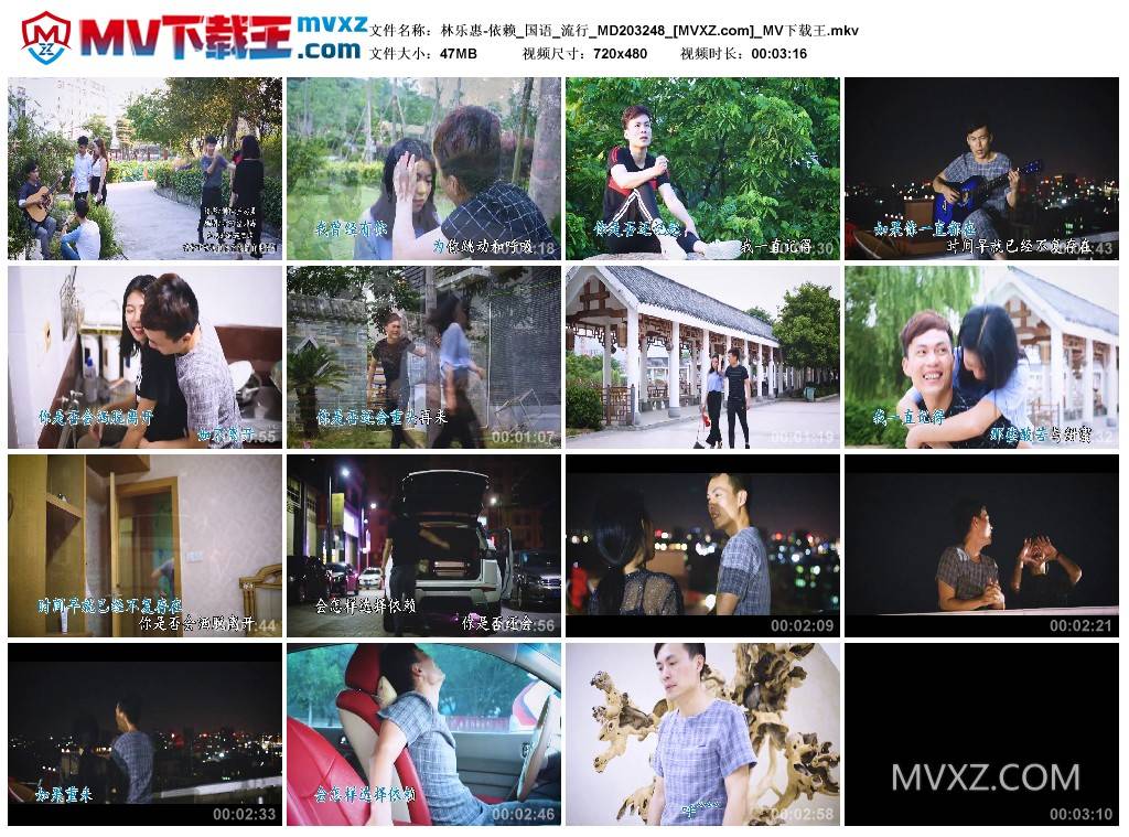 林乐惠-依赖_国语_流行_MD203248